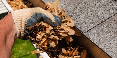 Speedwell gutter cleaning prices