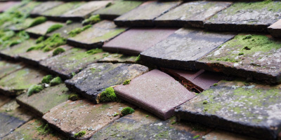 Speedwell roof repair costs